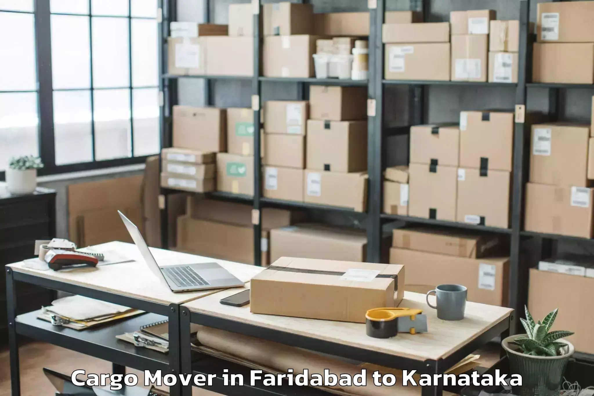 Book Faridabad to Emmiganur Cargo Mover Online